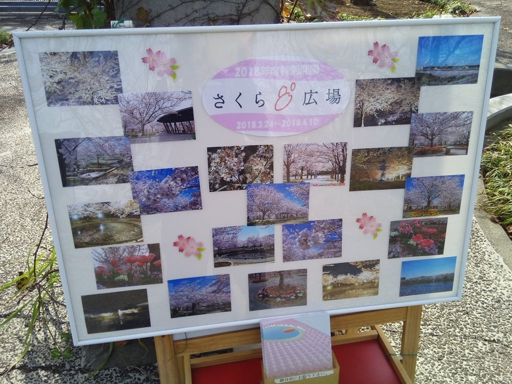 Sakura Hiroba景点图片
