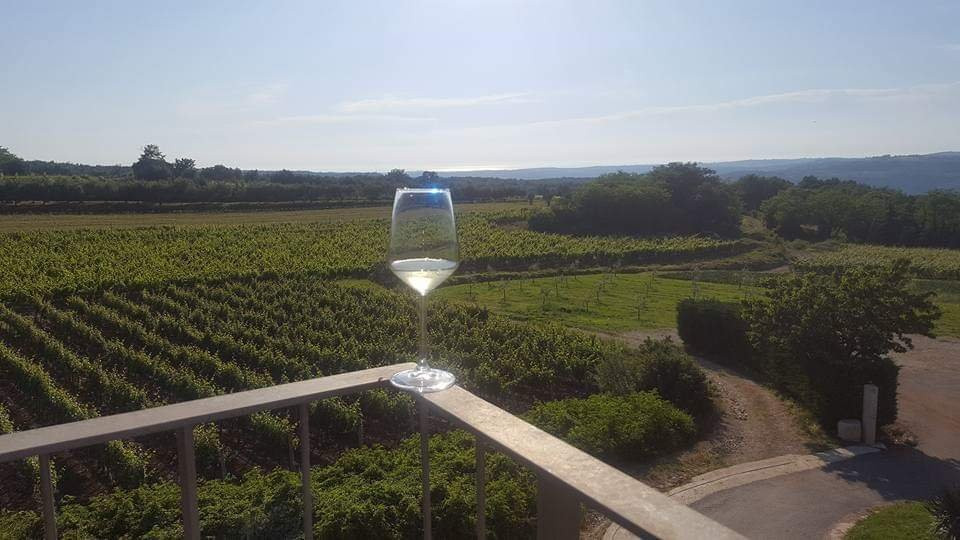 Vranje Selo旅游景点-Arman Marijan Winery