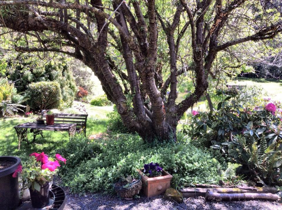 Love Grove Guest House主图