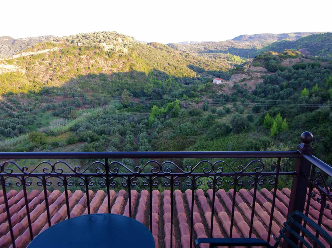 巴克斯酒店主图