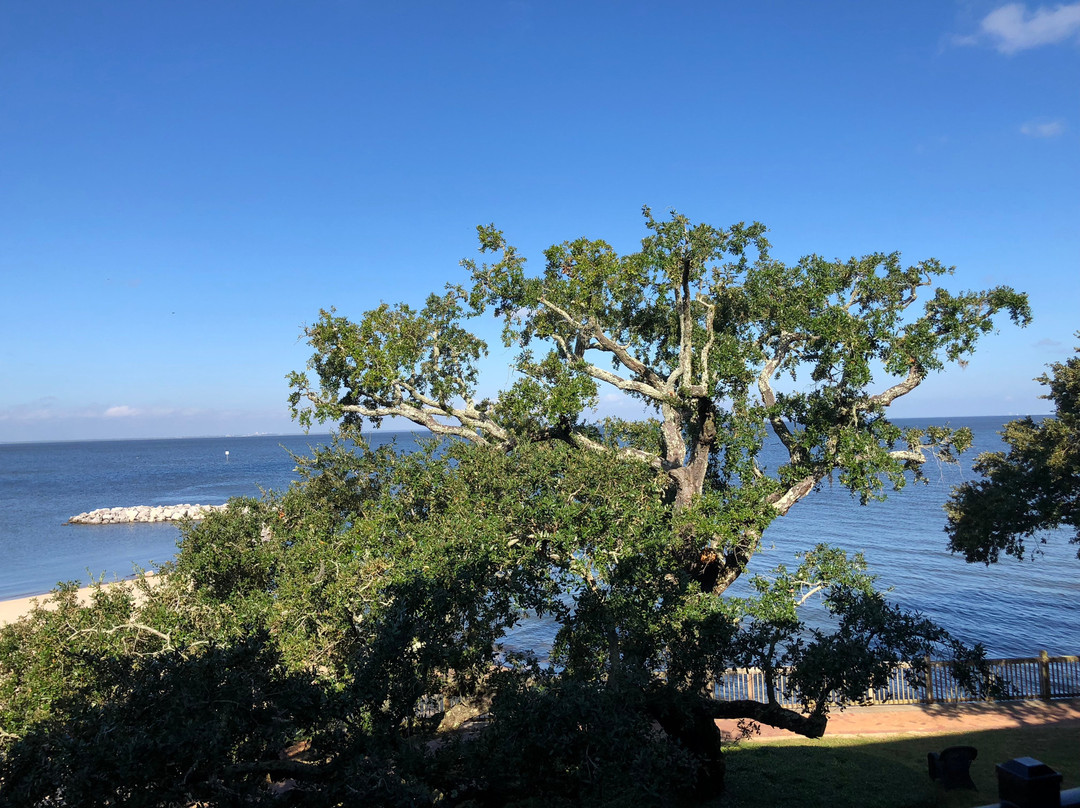 The Grand Hotel Golf Resort & Spa, Autograph Collection主图