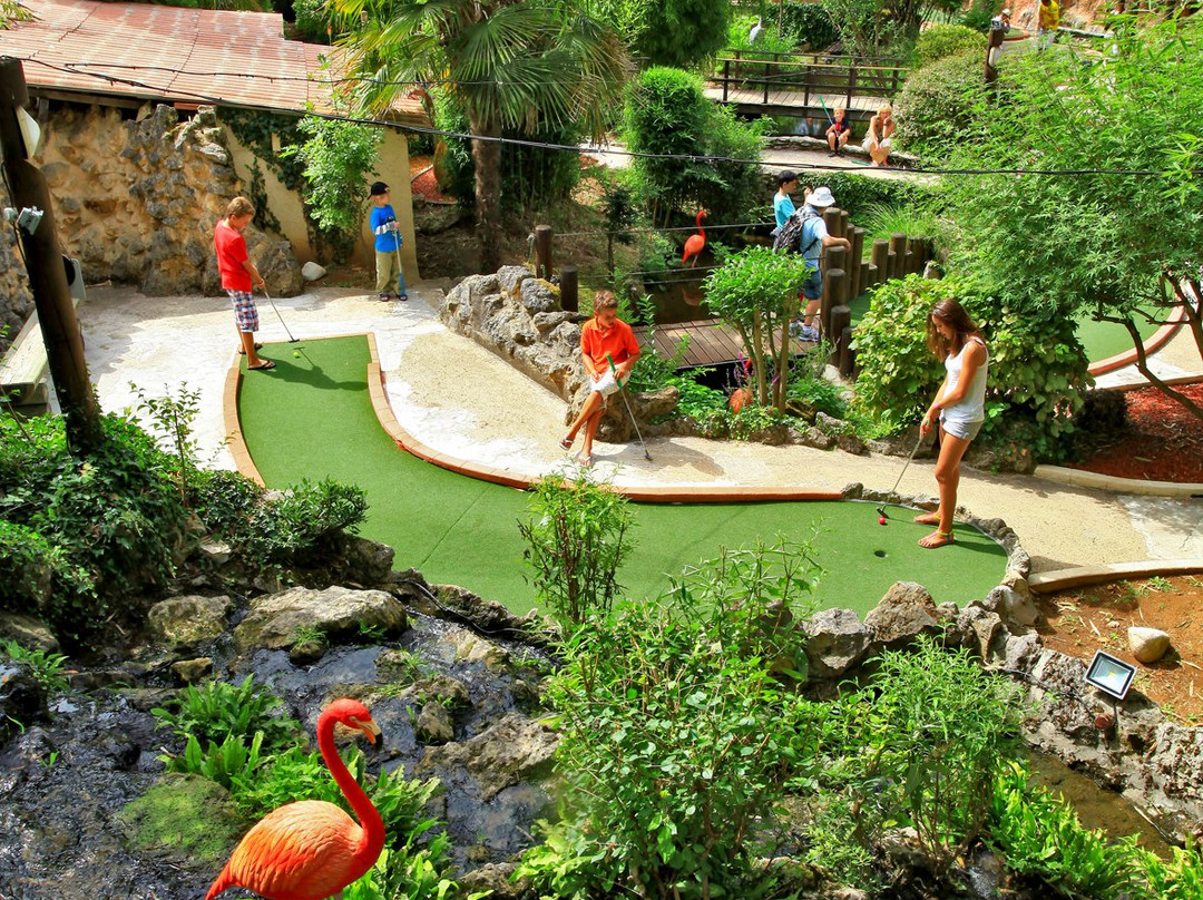 Jungle Golf景点图片