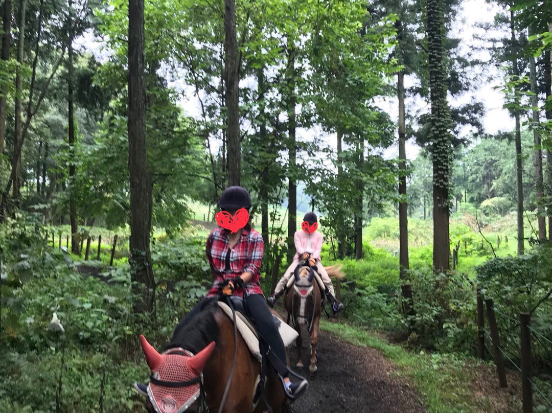 Island Horse Resort Nasu-太田原市必去景点