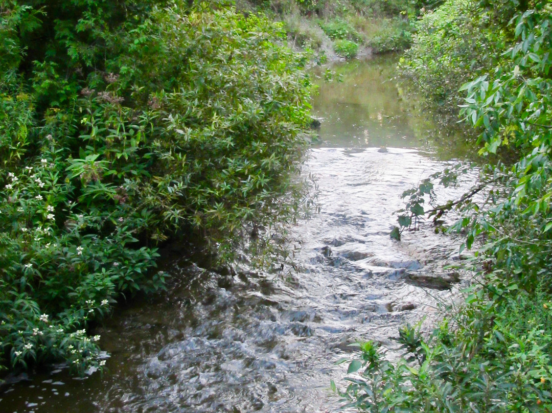 Cobourg Conservation Area-科堡必去景点