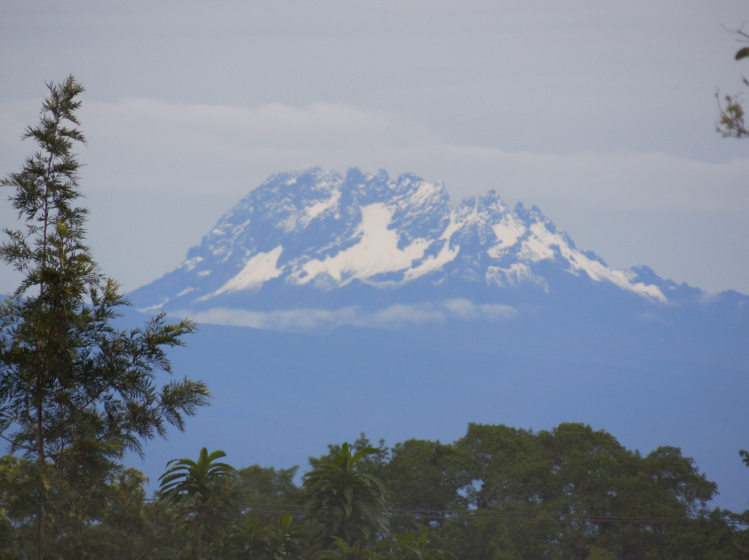 Paragon Safaris Club-阿鲁沙必去景点