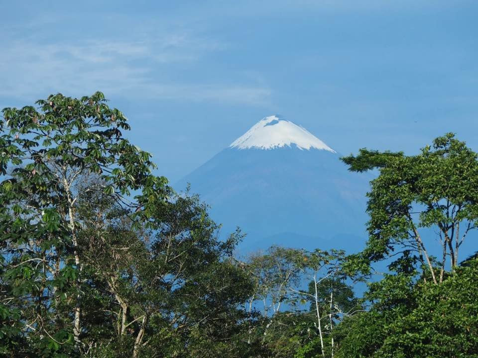 Amuntai Rainforest Lodge主图