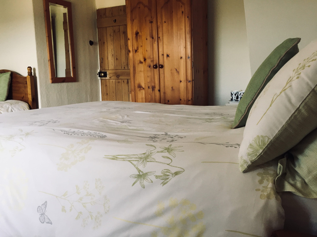 Rowantree Farm B&B主图