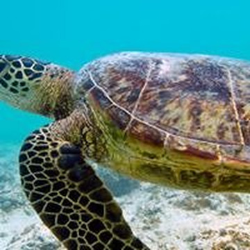 Nautica-努美阿必去景点