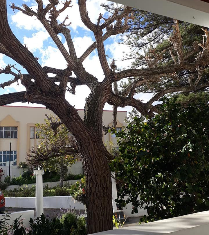 Airlies Historical Guest House主图