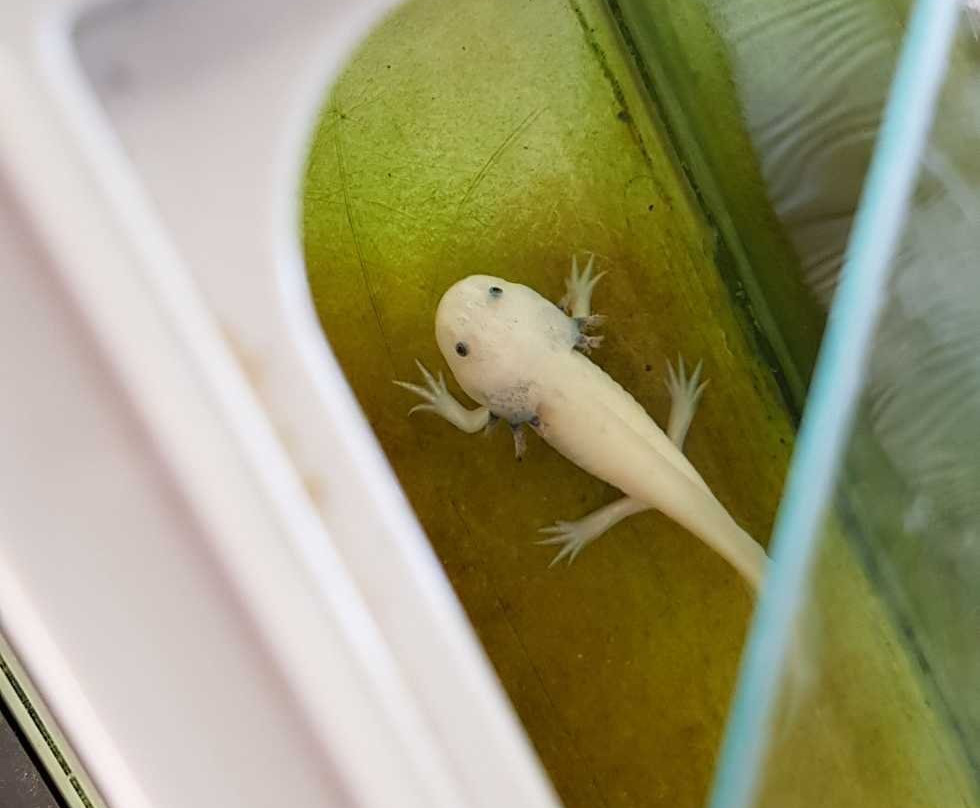 Akame Green Village Hotel主图