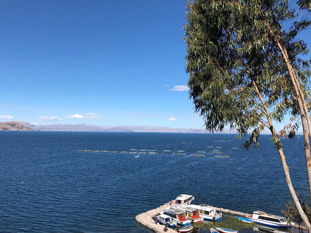 Hospedaje Samary主图