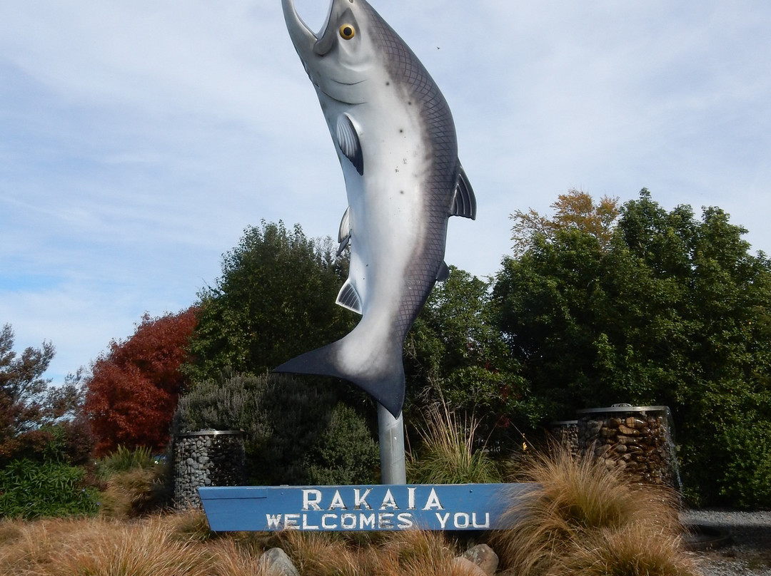 Rakaia Salmon Statue景点图片