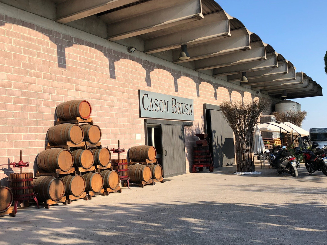 La Vigna del Cason Brusà-Fossalta di Portogruaro必去景点
