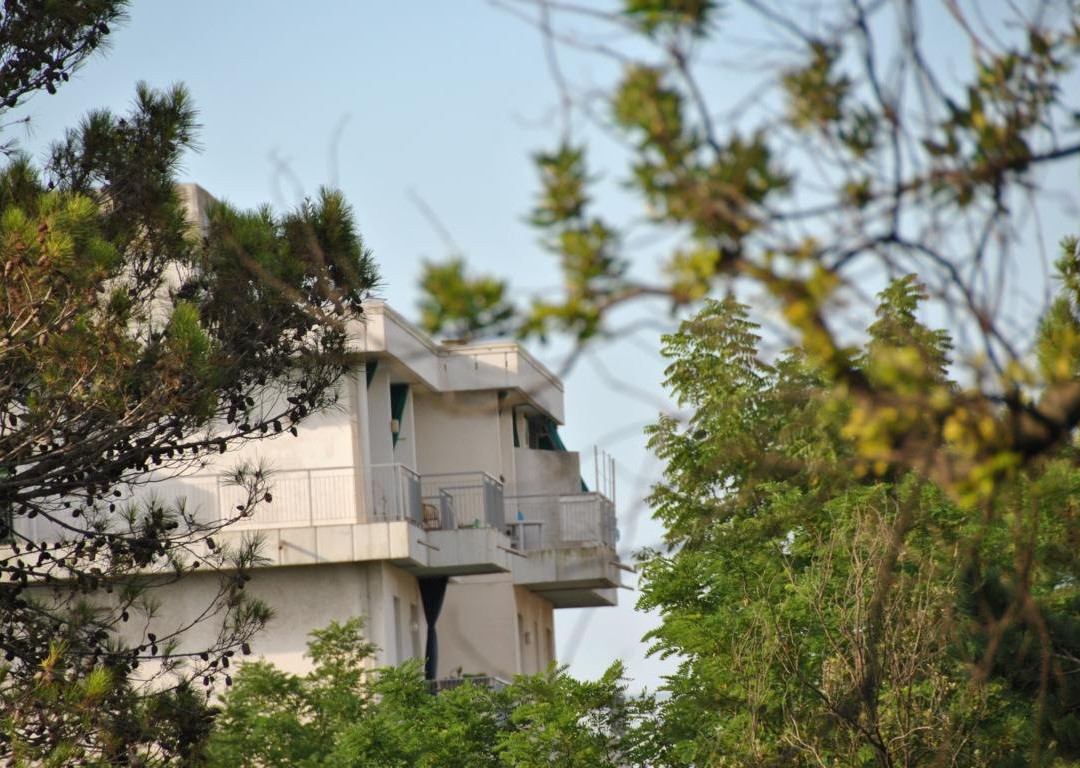 Hotel Adriaco主图