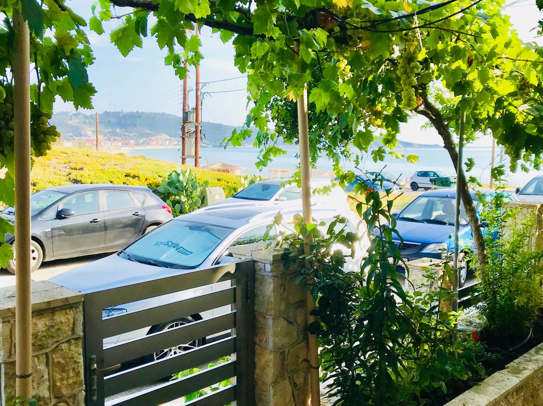 Sarti Paradise主图