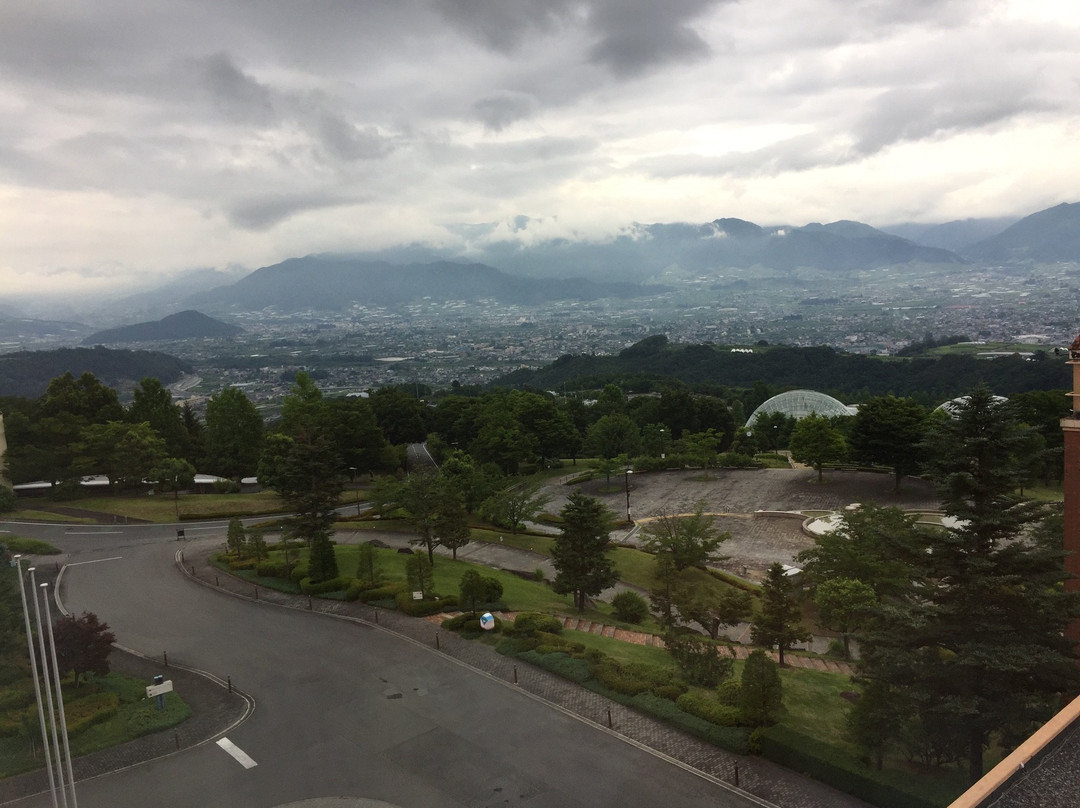 Fruit Park Fujiya Hotel主图