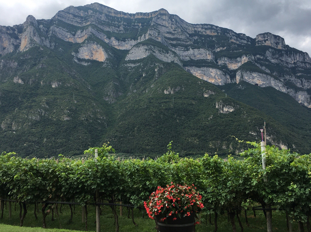 Maso Roveri-Avio必去景点