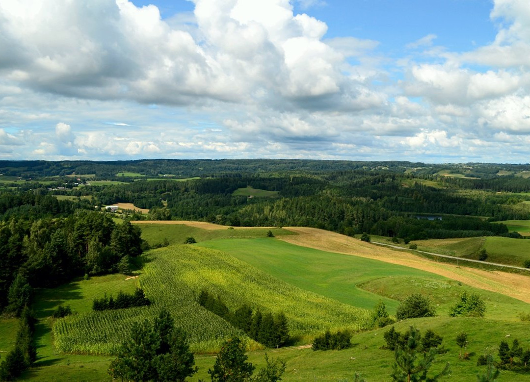 Cisowa Mountain-Gulbieniszki必去景点