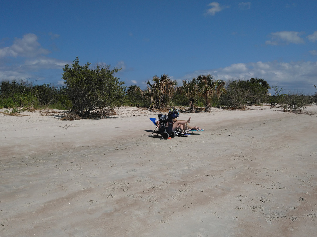 New Smyrna Beach Dog Park景点图片