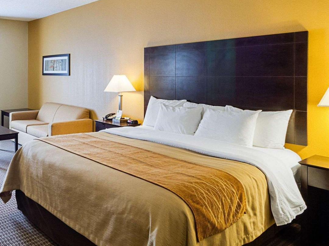 Comfort Inn & Suites Burnet主图