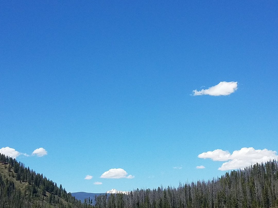 沃尔德马克格兰比 - 落矶山保护区主图