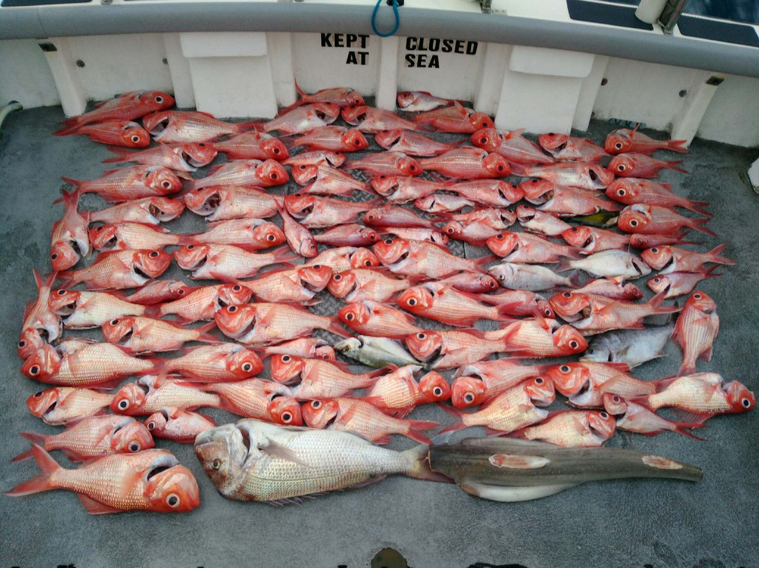 Reef Encounters Fishing Charters景点图片