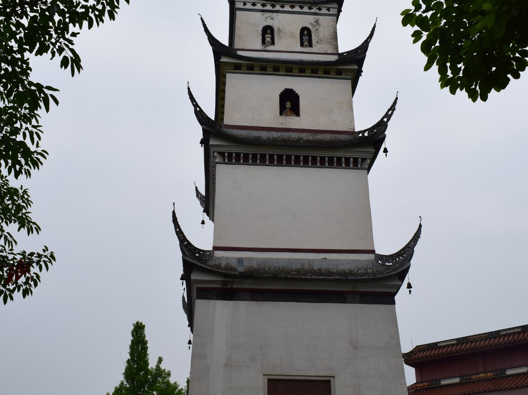 无根山-崇州市必去景点