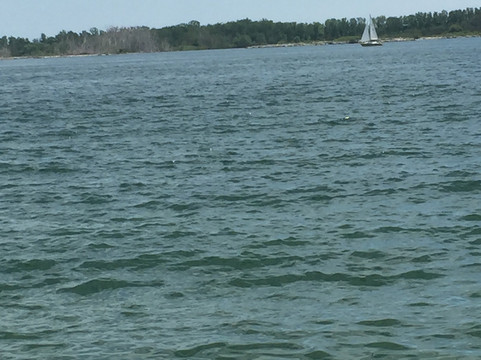 Tiki Taxi-多伦多必去景点