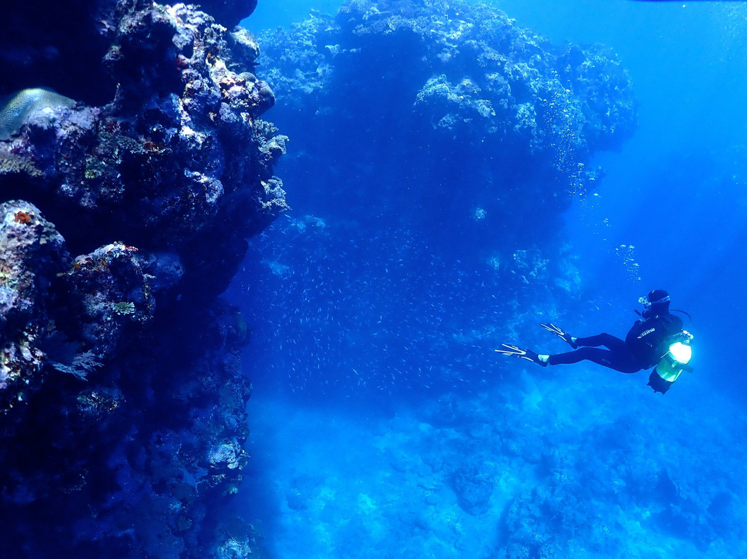 Tieti Diving-Poindimie必去景点