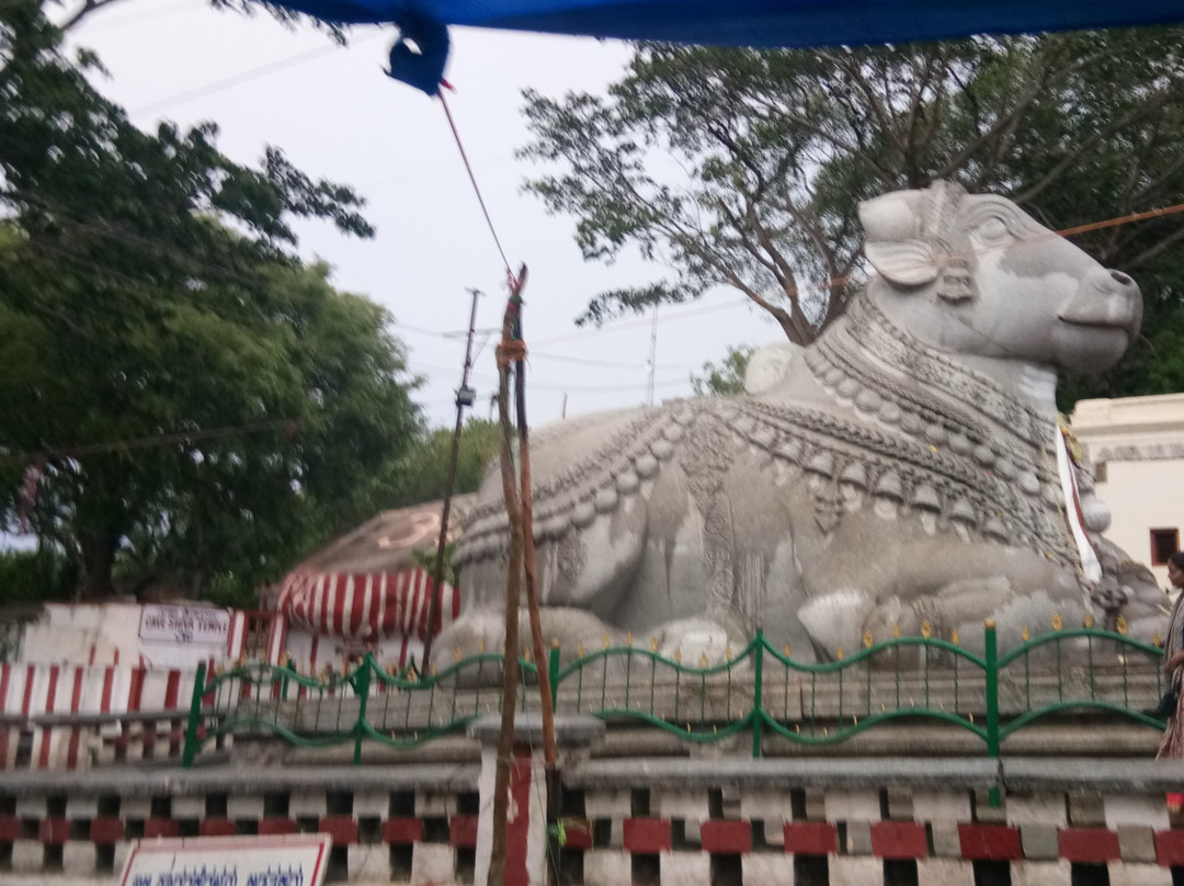 Sri Nandi Temple景点图片