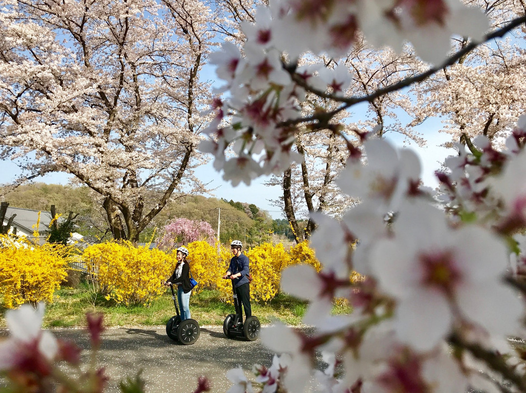 Segway Nature Exprience Tour In Shinrin Park景点图片