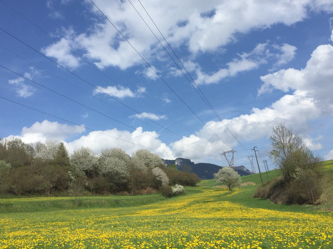 Varena旅游攻略图片