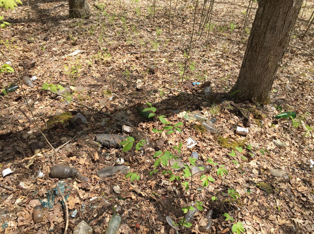 Cascading Waters-伍斯特必去景点