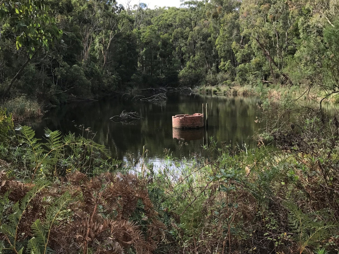 Henry Littledyke Reserve-Nyora必去景点