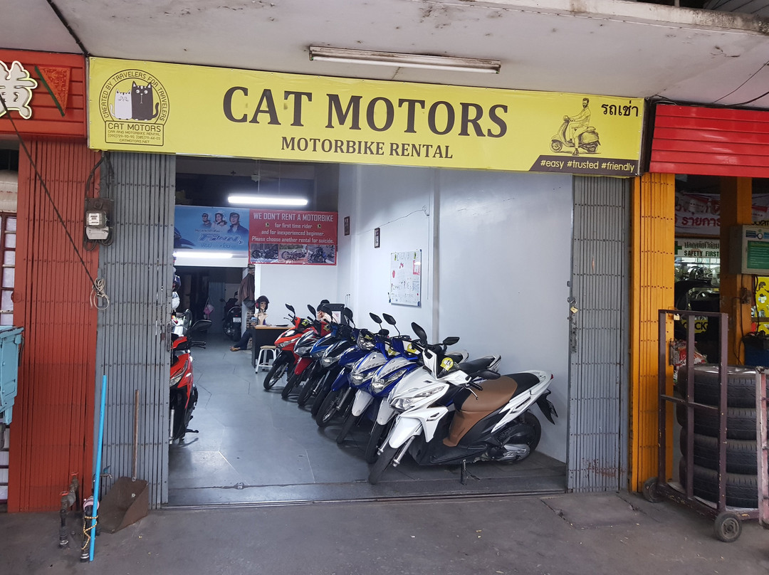 Cat Motors景点图片