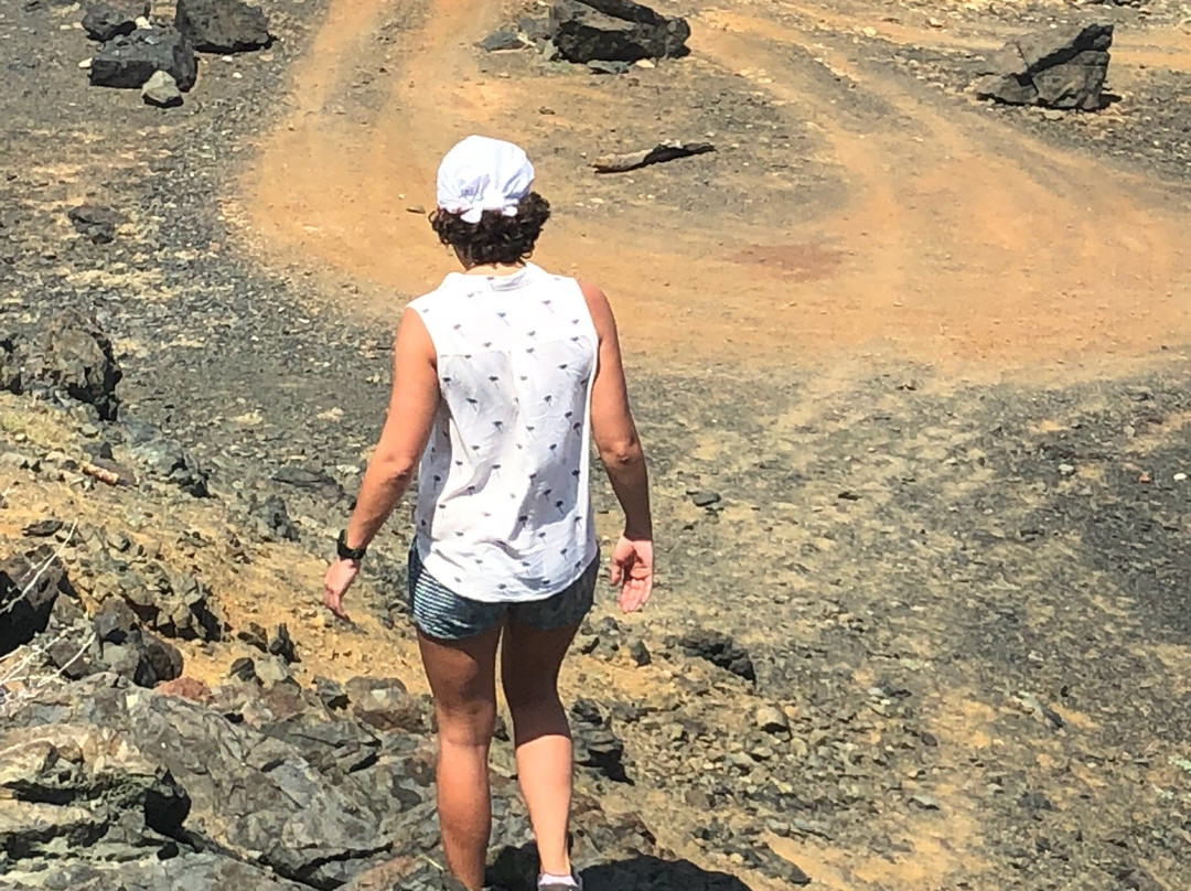 Aruba Trail Runner's-奥腊涅斯塔德必去景点