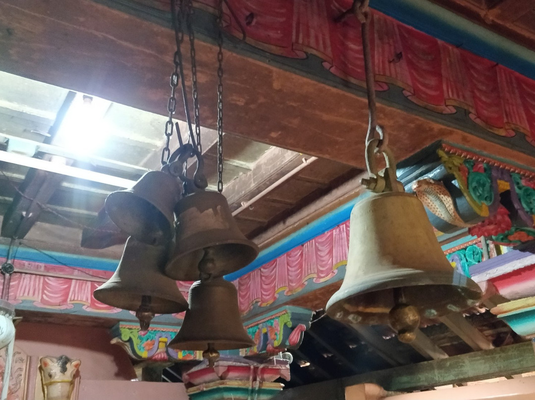 Aryadurga Devi Temple景点图片