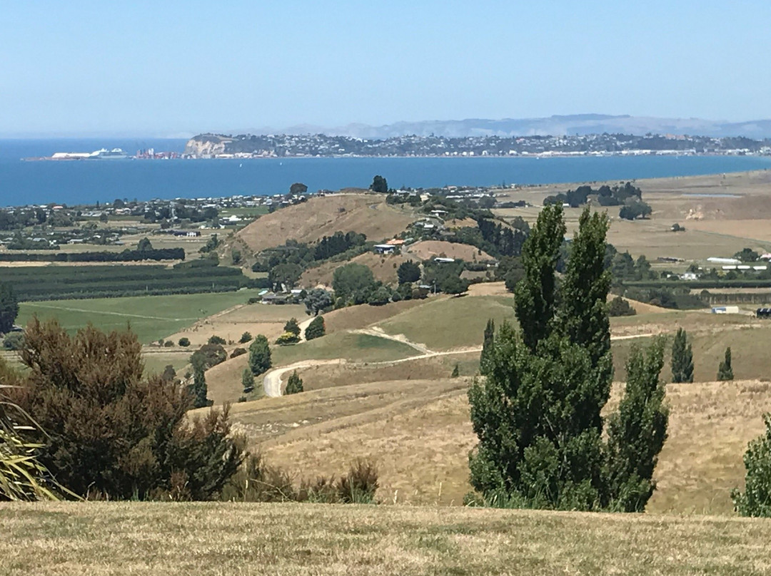 Tequila Sunrise Bed and Breakfast主图