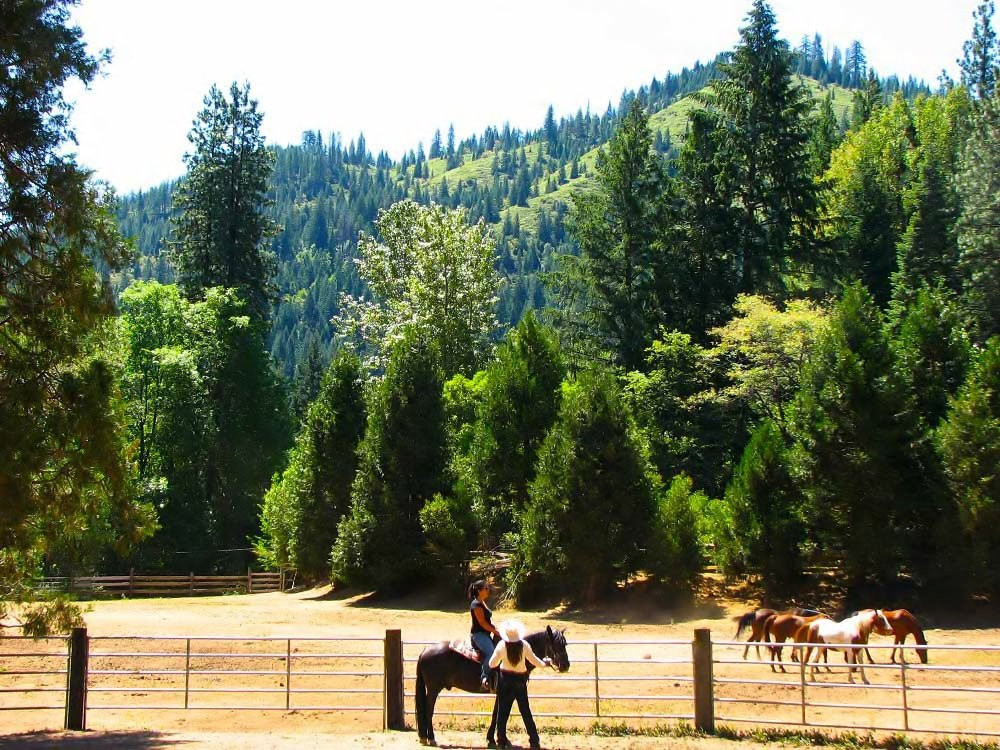 Coffee Creek Ranch
