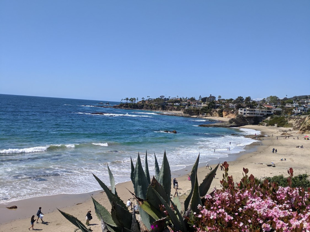 Laguna Beach Walks景点图片