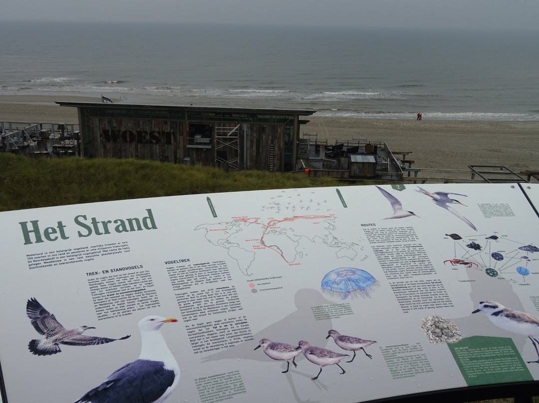 Callantsoog Beach景点图片