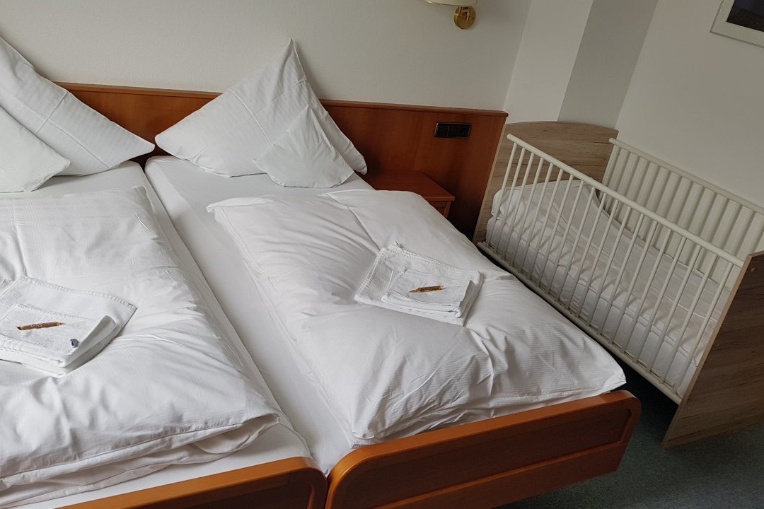 Gasthof Landhotel Hirsch主图