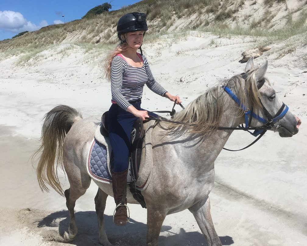 Pakiri Beach Horse Rides - Day Tours景点图片