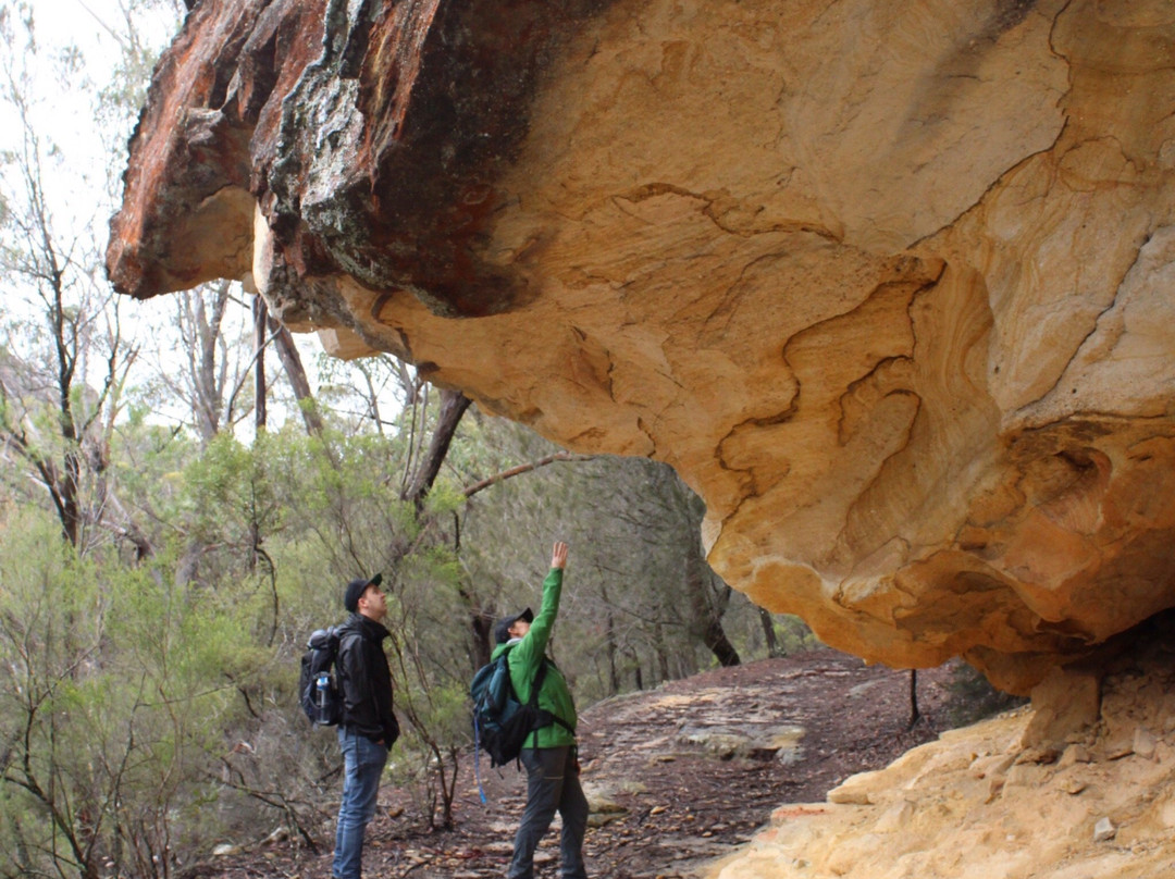 Wolgan Valley Eco Tours-Wolgan Valley必去景点