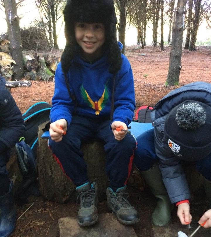 Red Branch Bushcraft景点图片