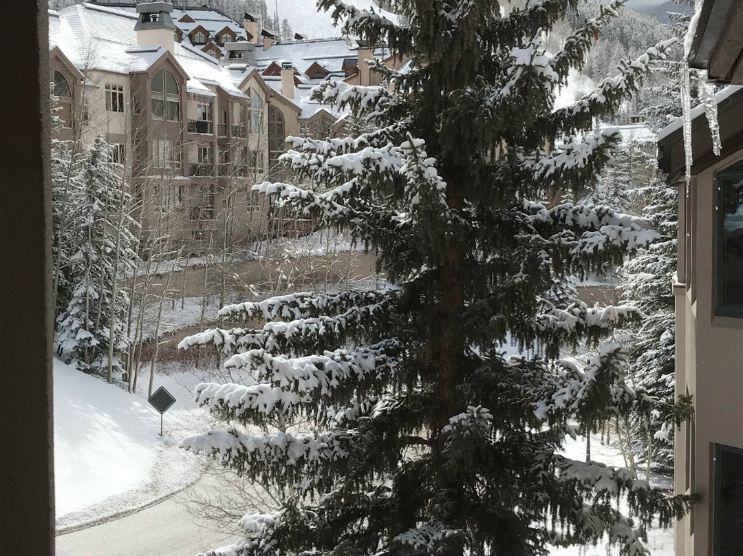 The Kiva by East West Hospitality主图