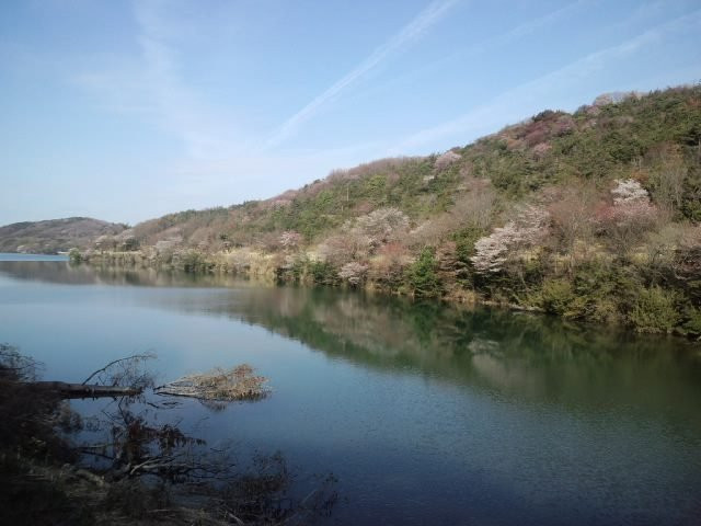 Himeji City Shizen Kansatsuno Mori-姬路市必去景点