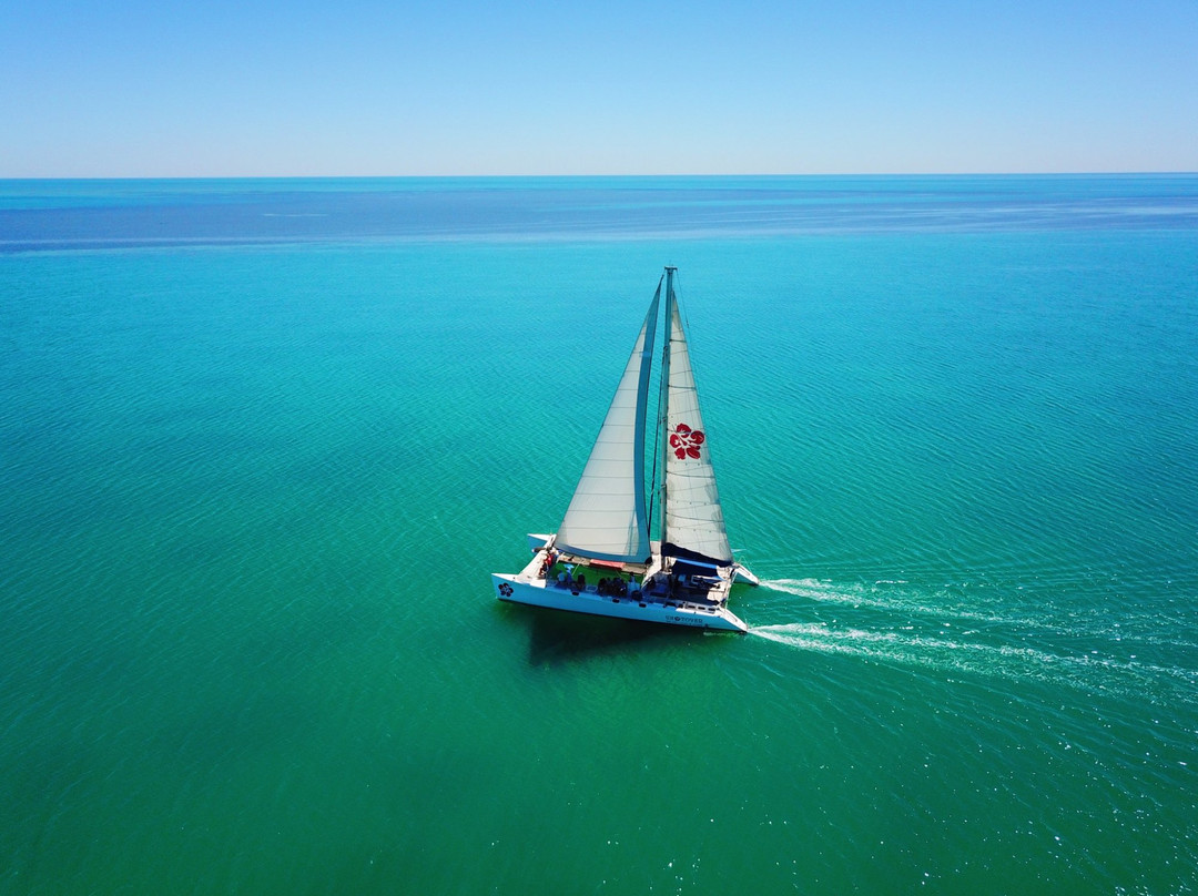 Wildsights-德纳姆必去景点