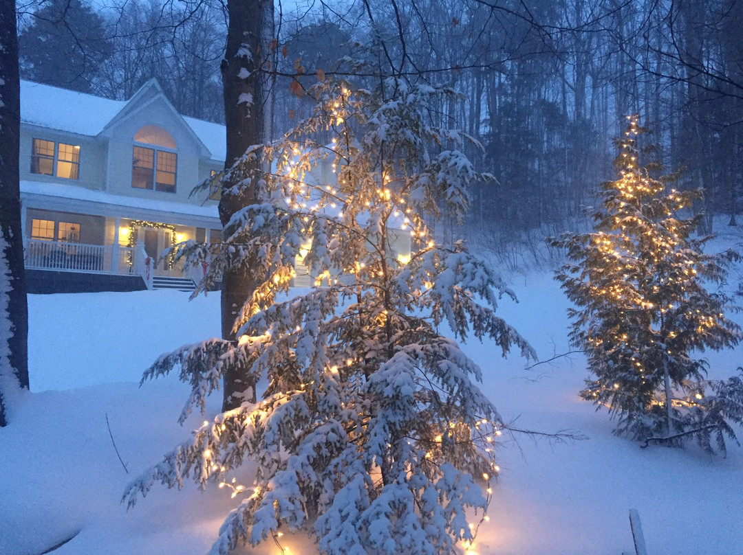 Northern Dream Bed & Breakfast主图