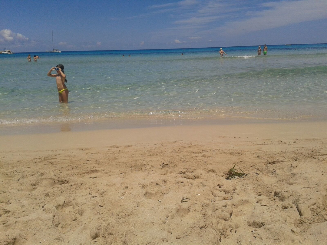 Spiaggia di Torre San Gennaro景点图片